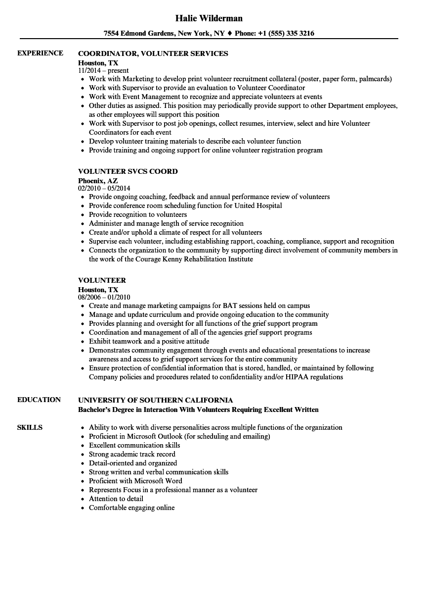 Detail Volunteer Resume Template Nomer 13