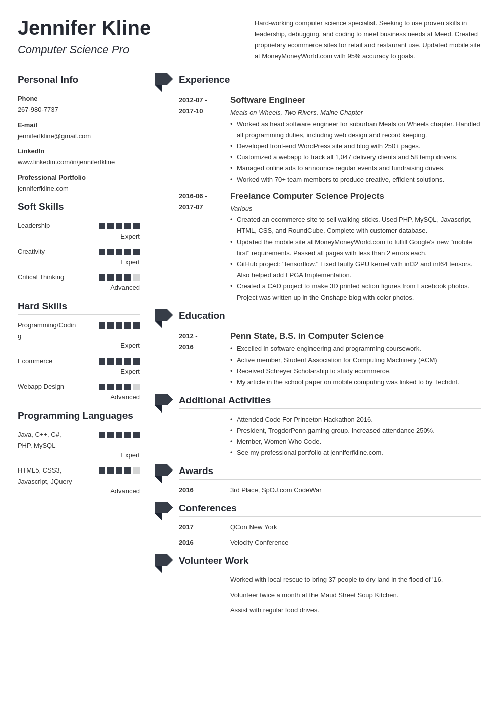 Detail Volunteer Resume Template Nomer 26