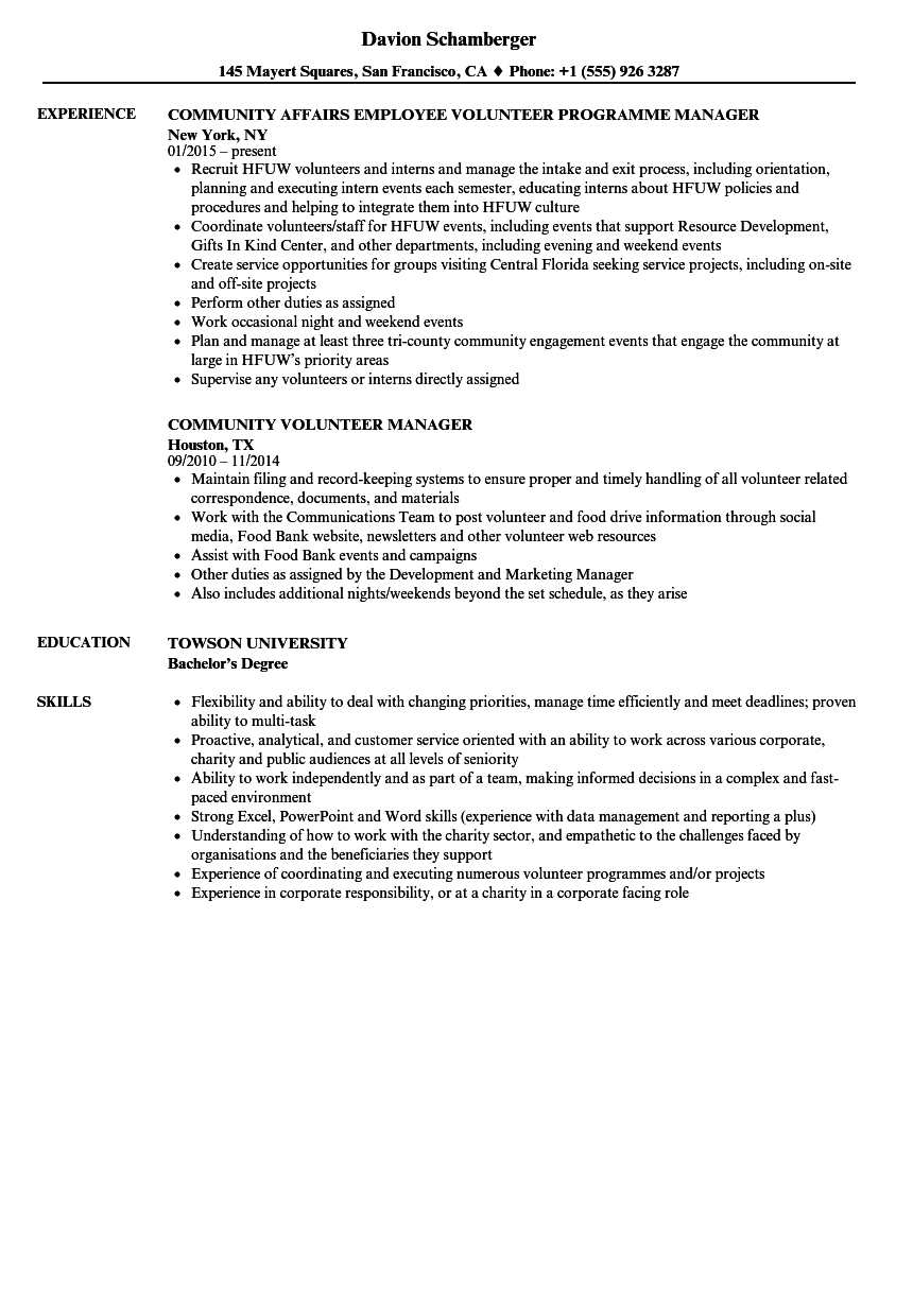 Detail Volunteer Resume Template Nomer 31