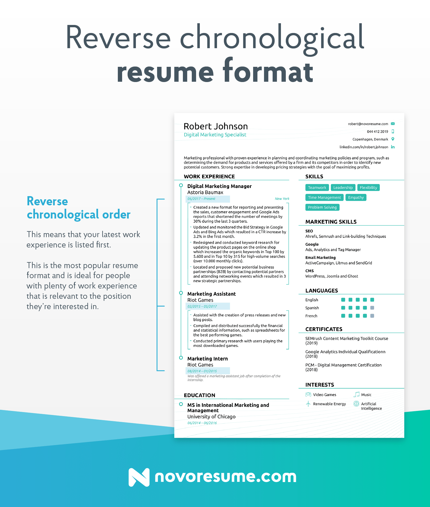 Detail Volunteer Resume Template Nomer 48