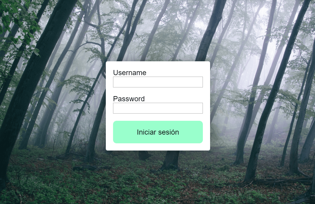 Detail Vue Js Template Nomer 55