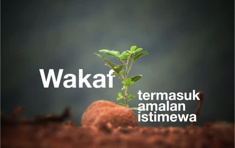 Detail Wakaf Surat Berharga Nomer 2