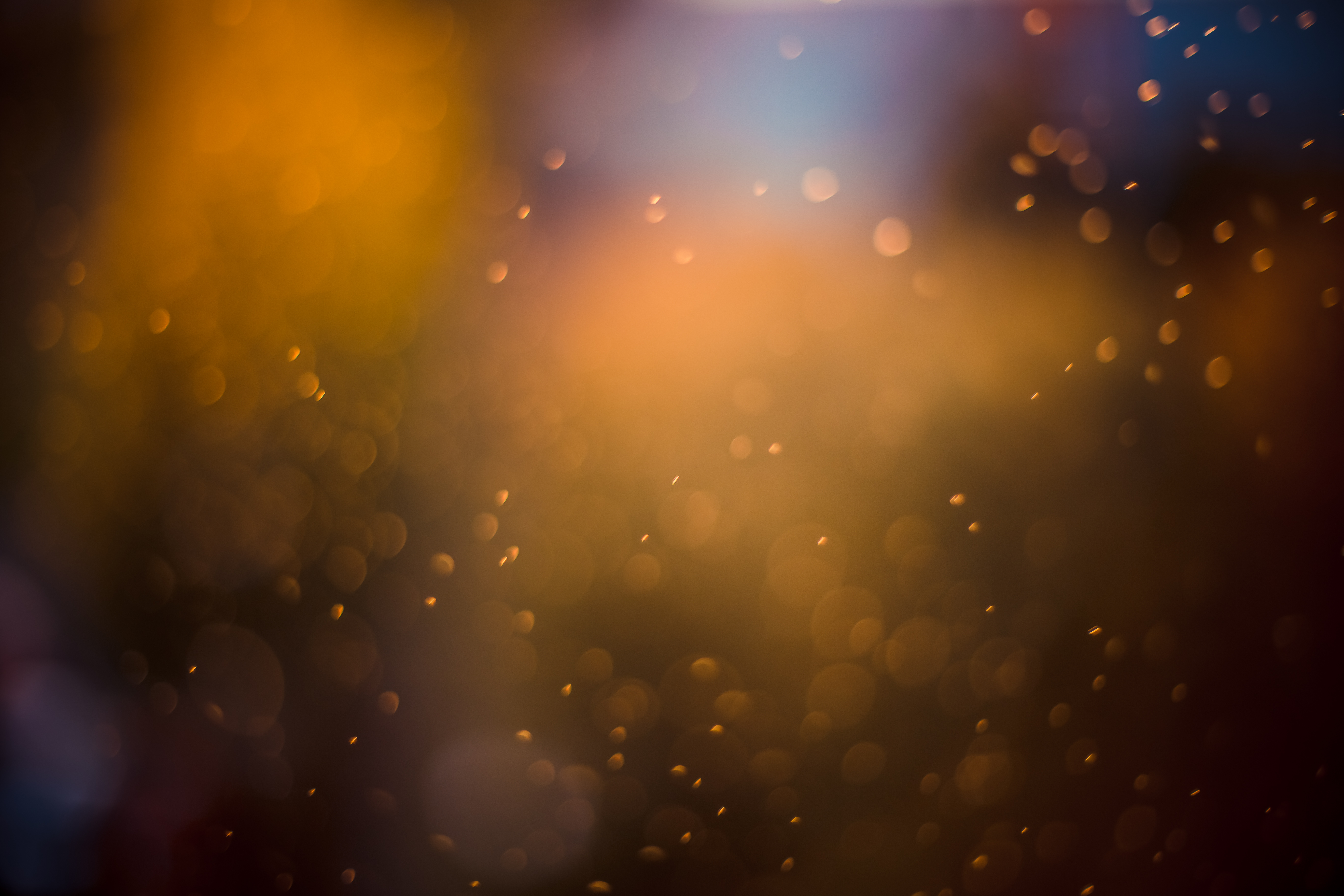 Detail Wallpaper Bokeh Nomer 14