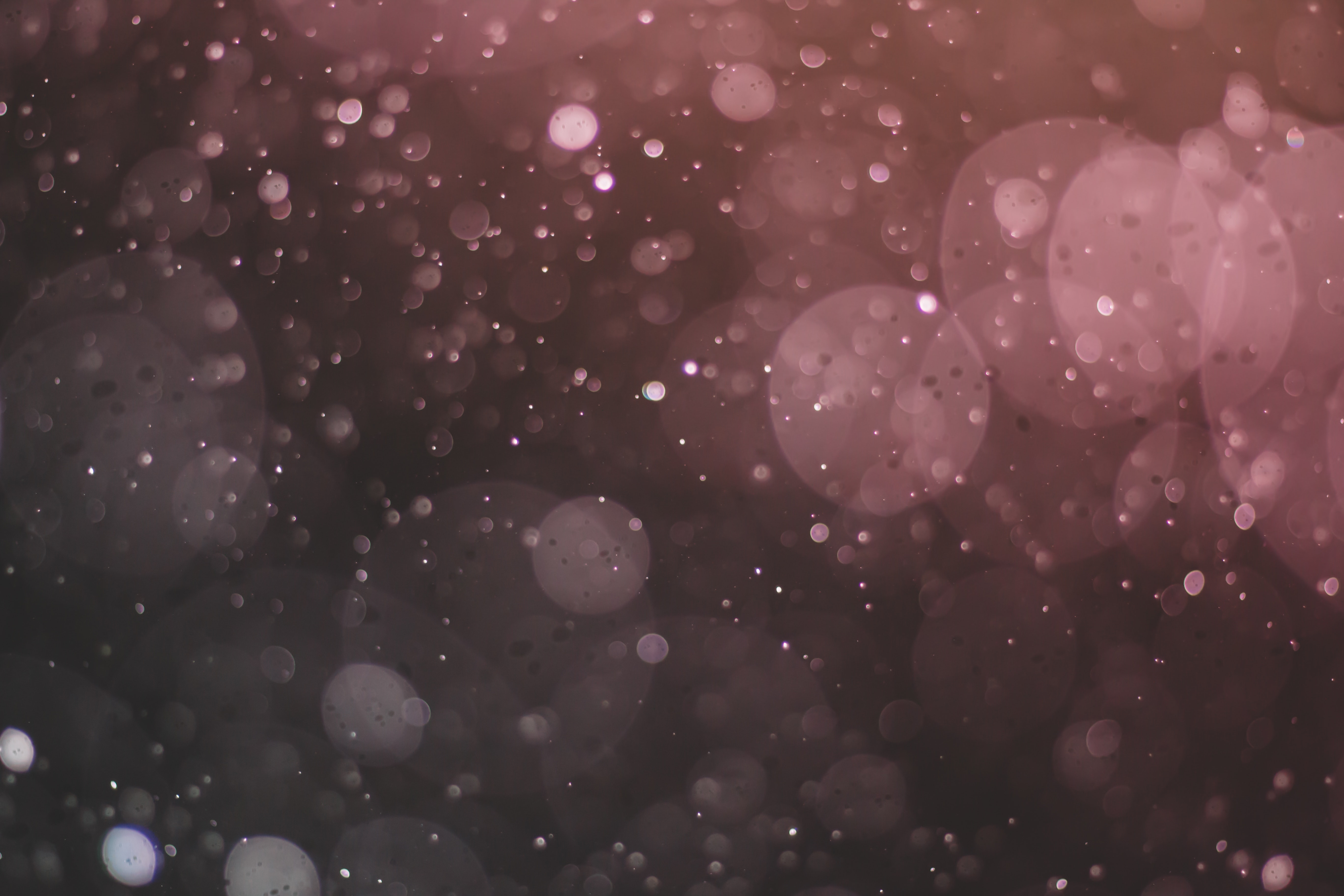 Detail Wallpaper Bokeh Nomer 15