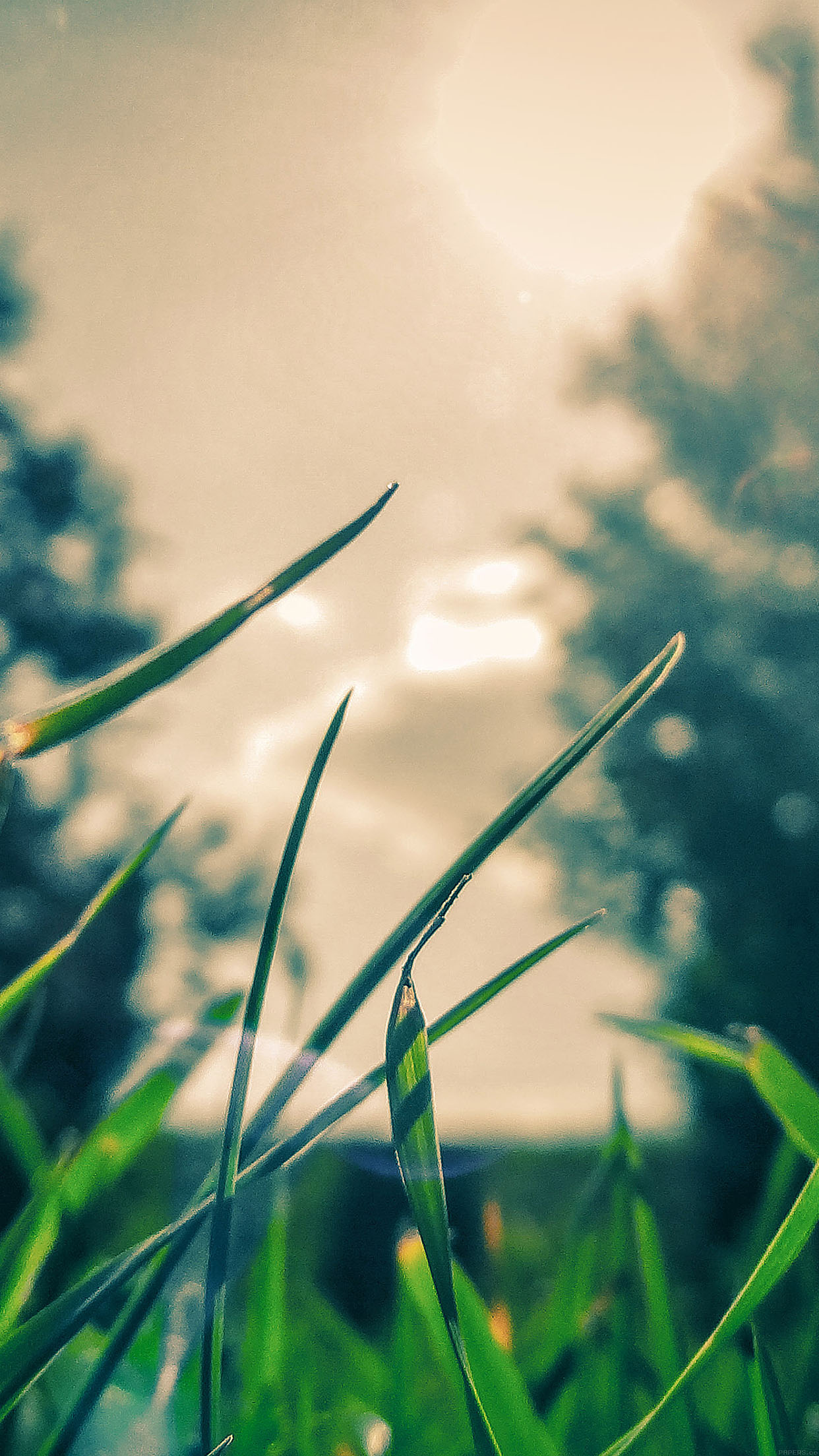 Detail Wallpaper Hd Bokeh Nomer 37
