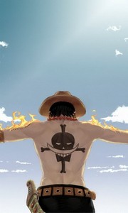 Detail Wallpaper One Piece Untuk Android Nomer 29