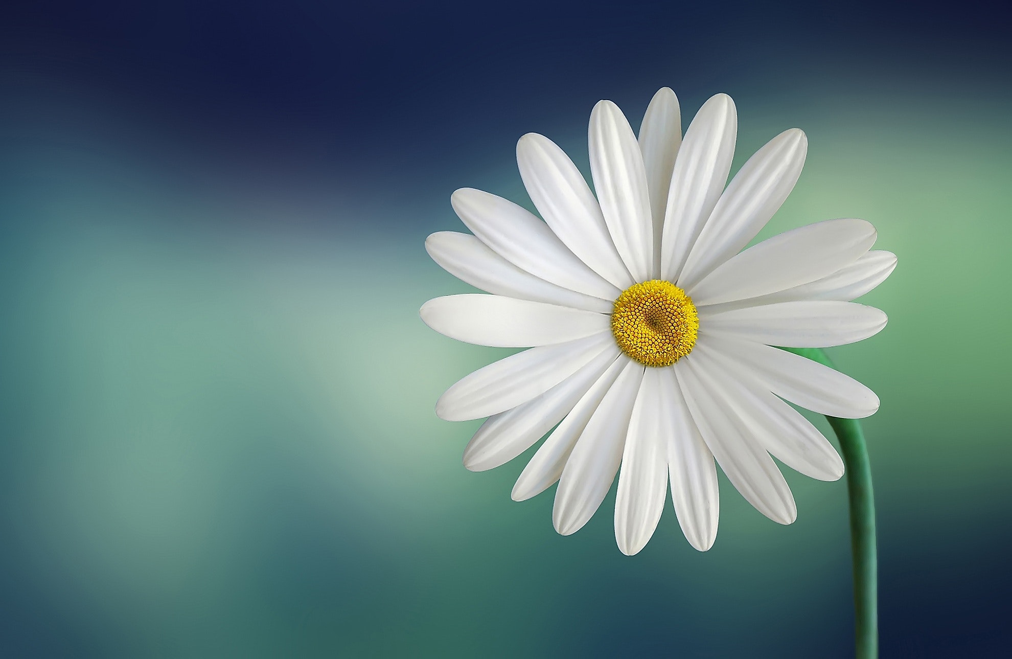 Detail Wallpaper Untuk Windows 10 Nomer 43