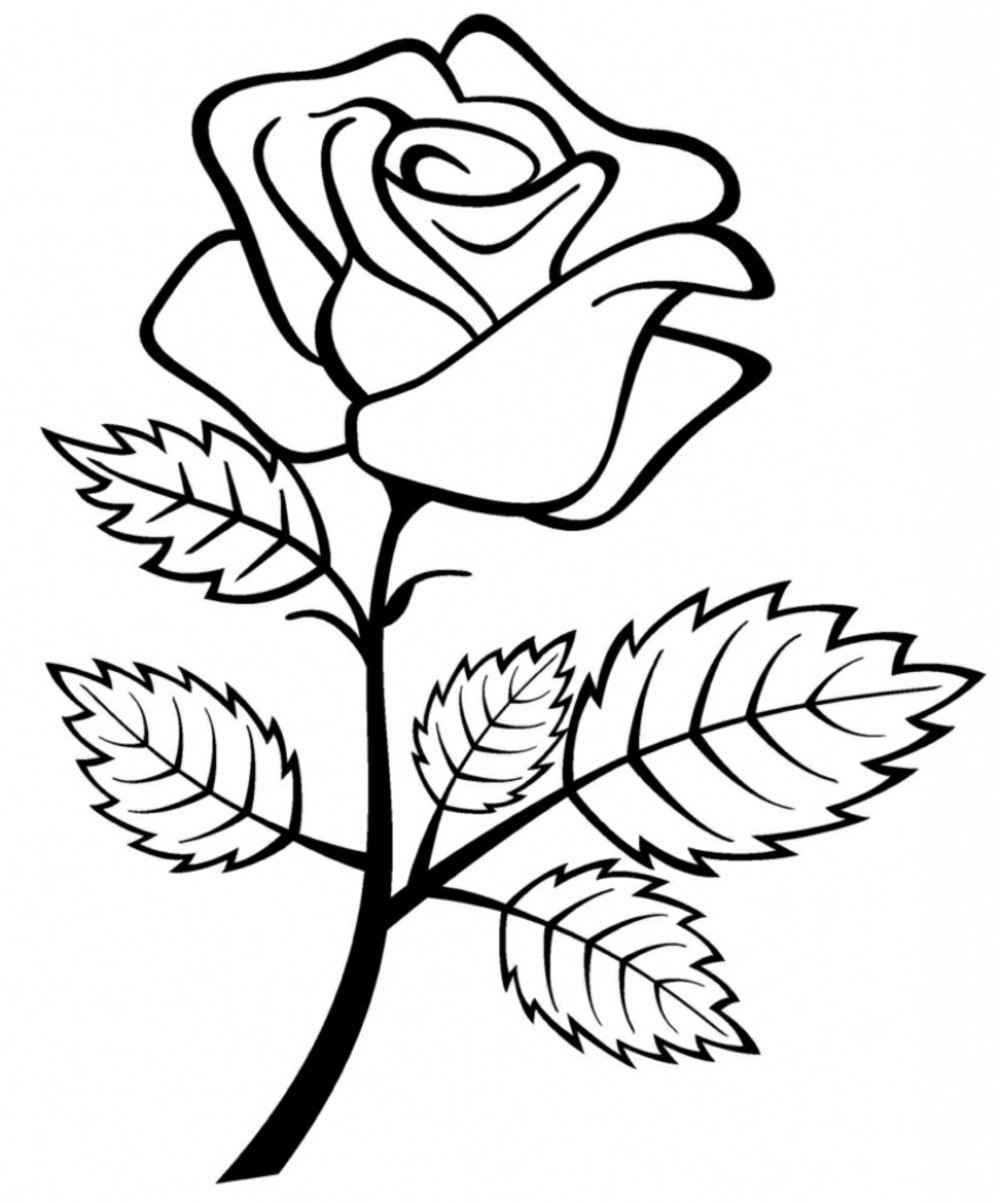 Detail Warna Yang Sesuai Untuk Mewarnai Gambar Motif Bunga Mawar Yaitu Nomer 12