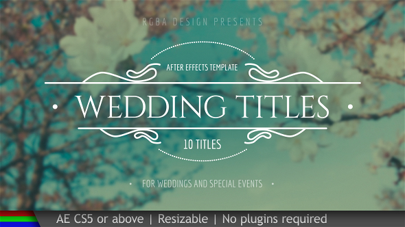 Detail Wedding Title After Effects Template Free Nomer 26