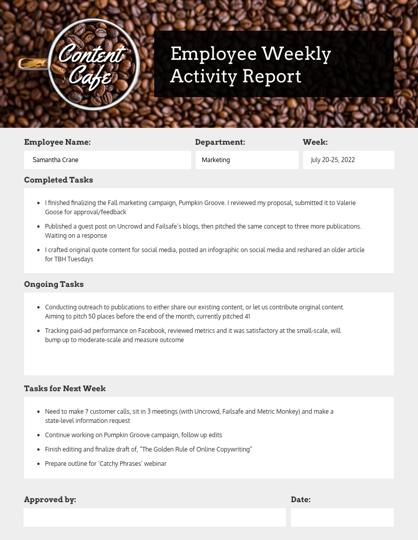 Detail Weekly Report Template Nomer 14