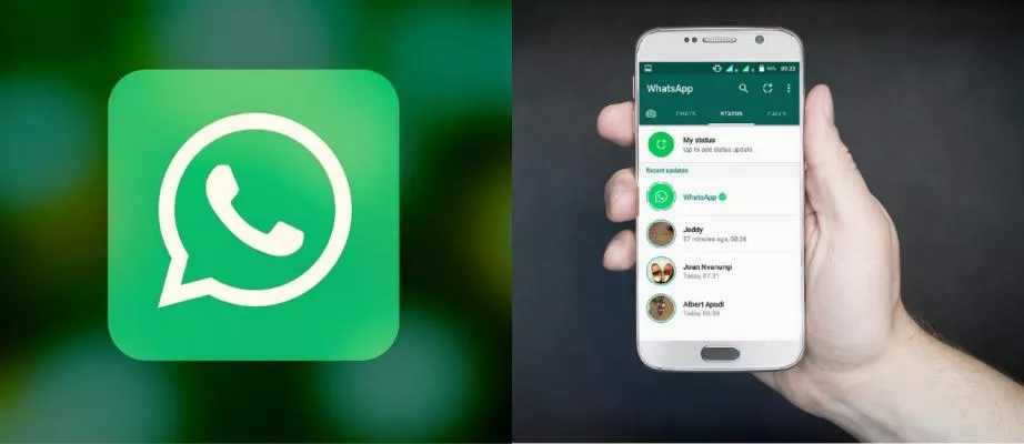 Detail Whatsapp Tidak Bisa Mengunduh Foto Nomer 21