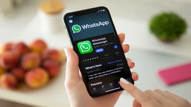 Detail Whatsapp Tidak Bisa Mengunduh Foto Nomer 31