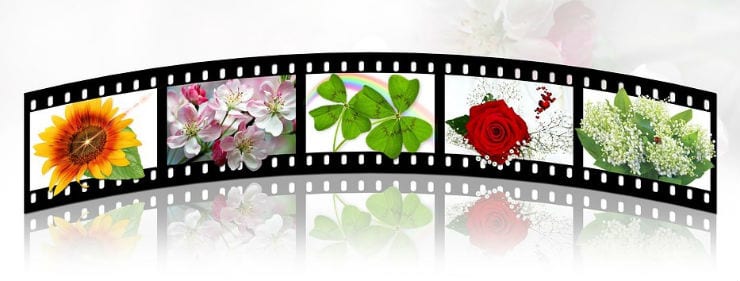 Detail Windows Movie Maker Template Free Nomer 37