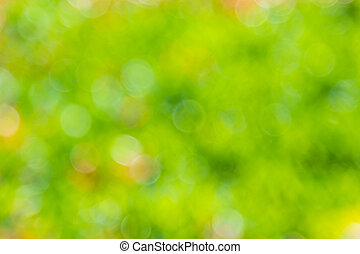 Detail Yellow Bokeh Background Nomer 48