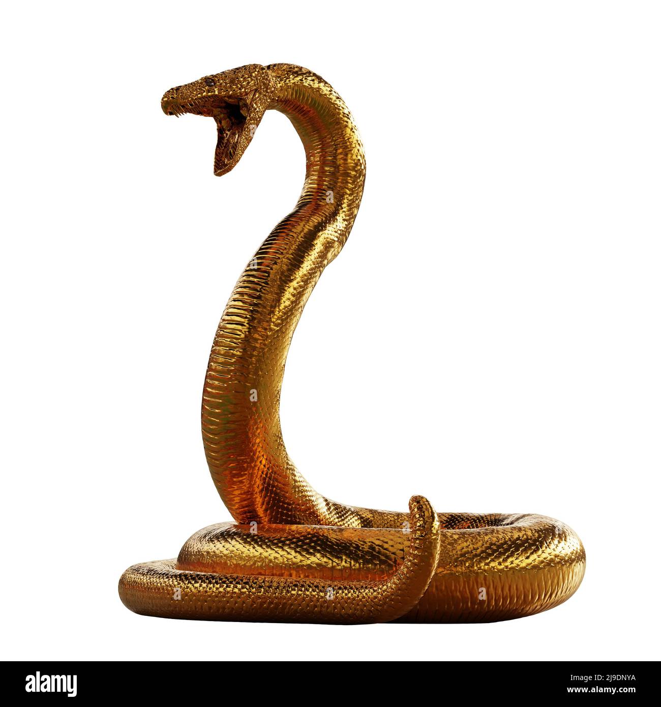 Detail Albino Python Nomer 14