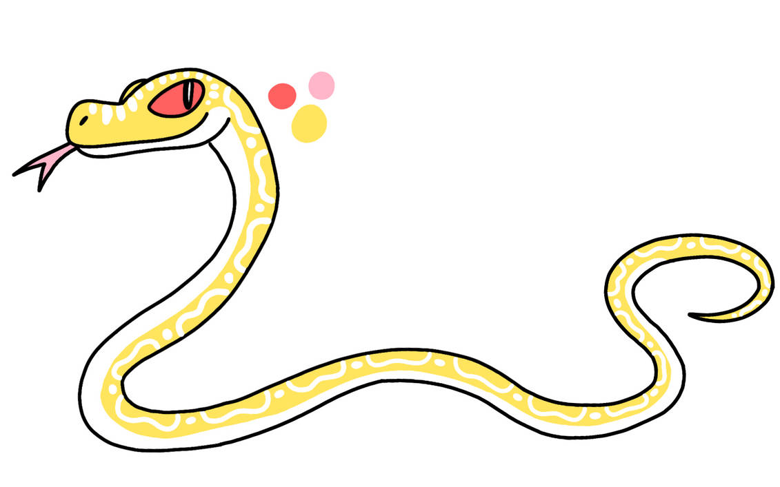 Detail Albino Python Nomer 15