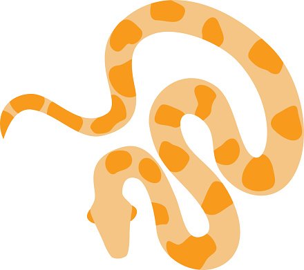 Detail Albino Python Nomer 18