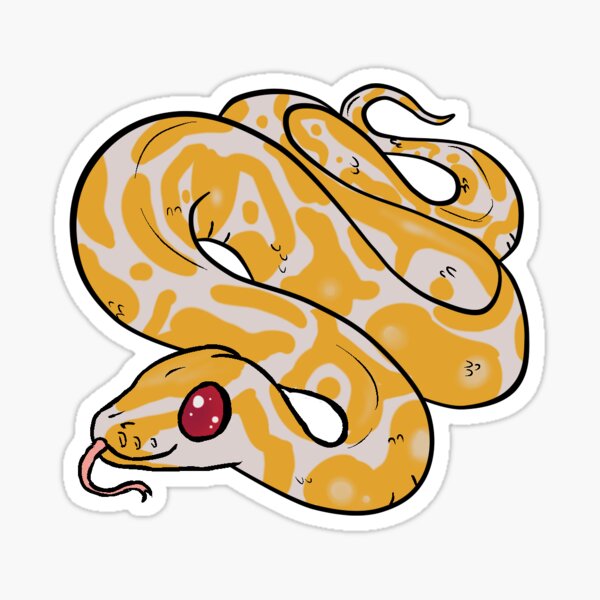 Detail Albino Python Nomer 20