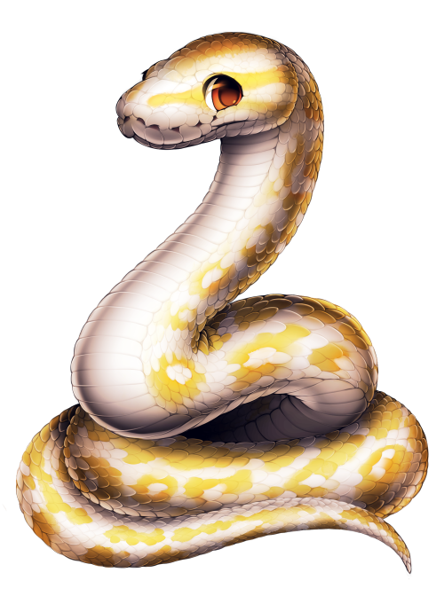 Detail Albino Python Nomer 25