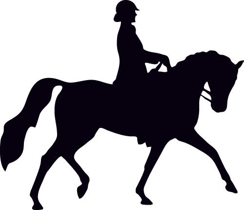 Detail Araber Pferde Reiten Nomer 3