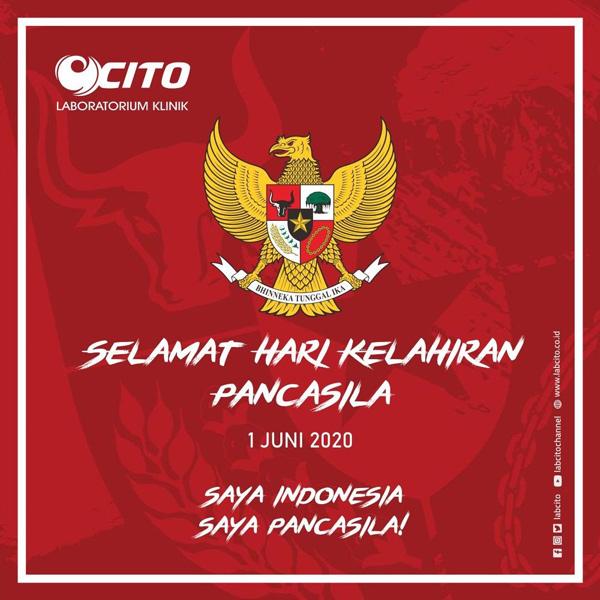 Detail Download Logo Saya Indonesia Saya Pancasila Nomer 19