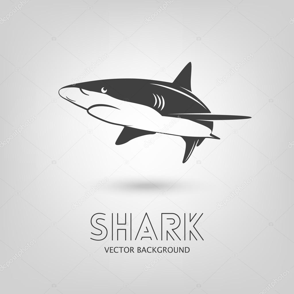 Detail Download Logo Shark Nomer 17