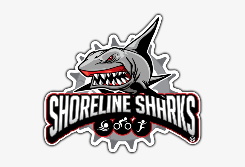 Detail Download Logo Shark Nomer 56