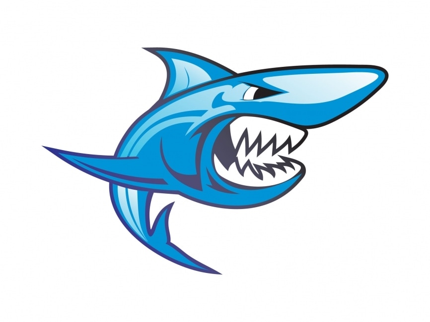 Detail Download Logo Shark Png Nomer 24