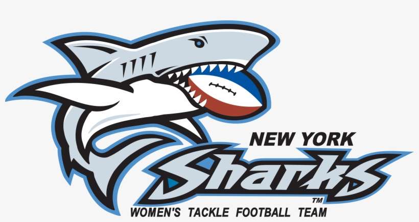 Detail Download Logo Shark Png Nomer 52