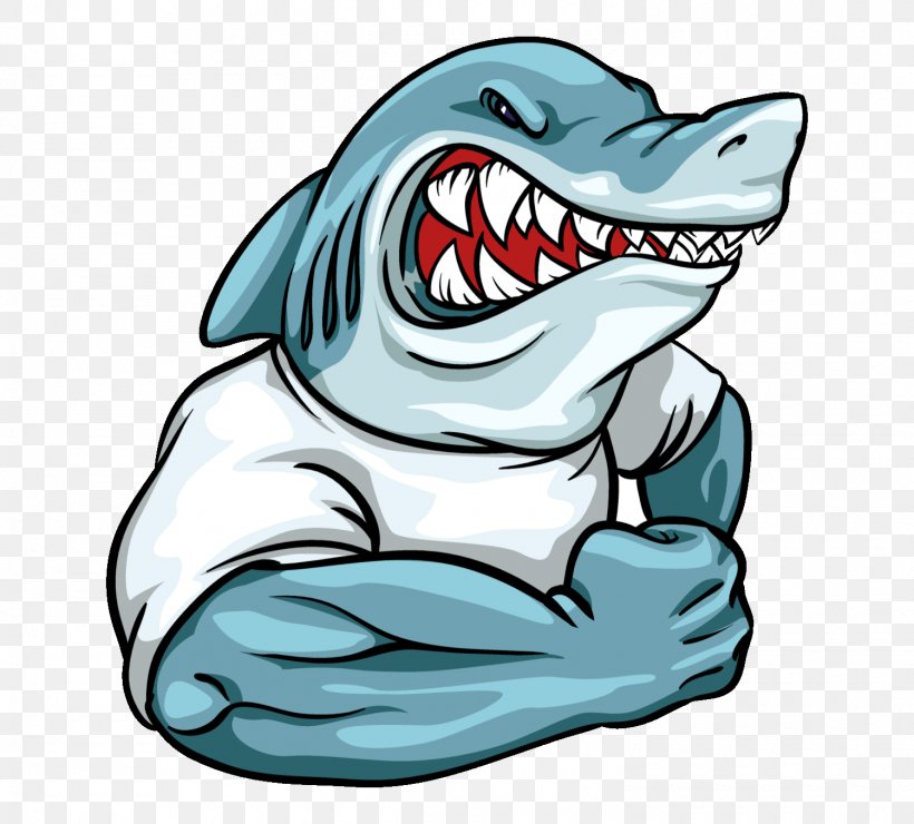 Detail Download Logo Shark Png Nomer 8