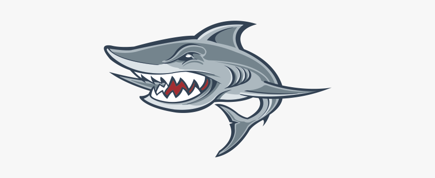 Detail Download Logo Sharkj Ppng Nomer 11