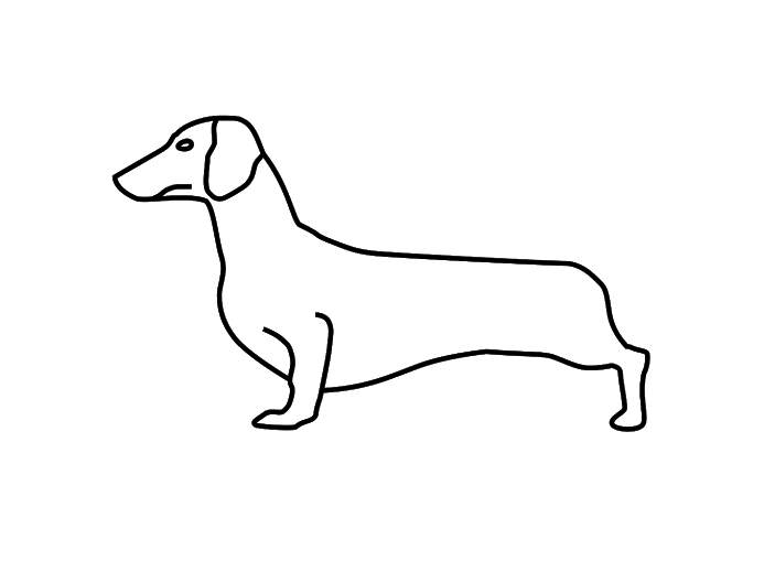 Detail Hundeskelett Zum Ausdrucken Nomer 5