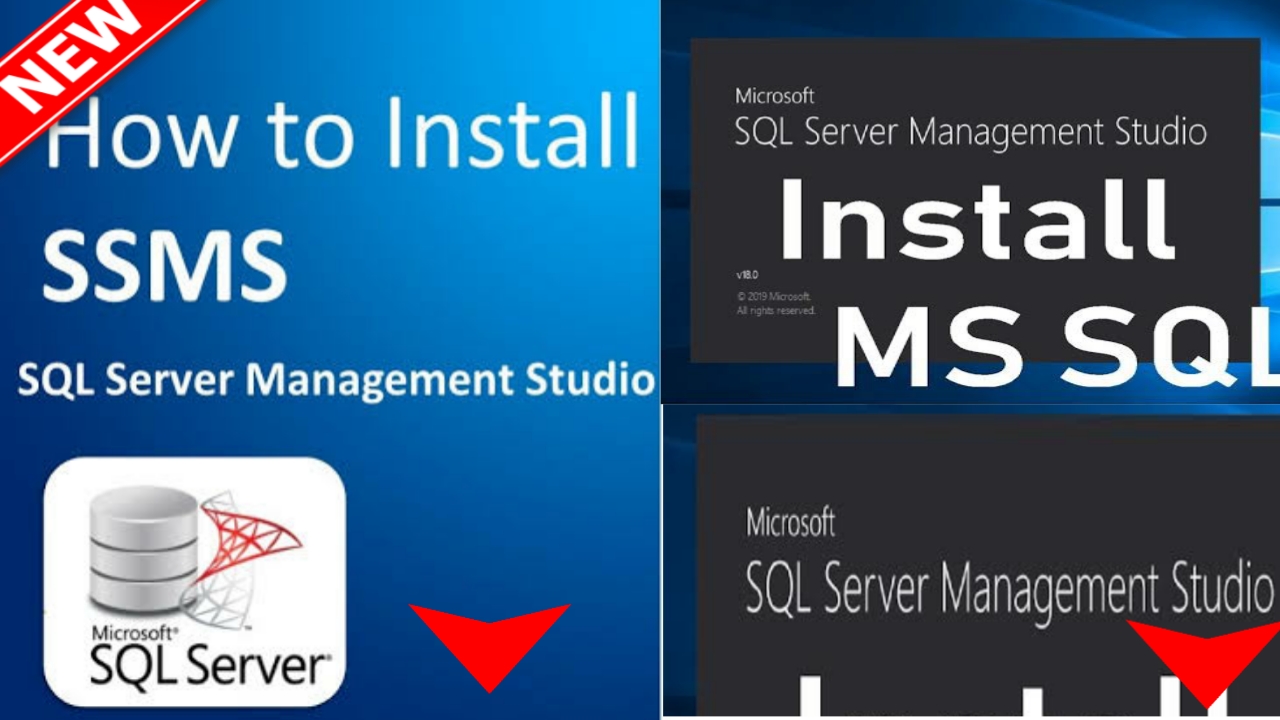 Detail Download Logo Sql Server Management Studio Koleksi Nomer 42