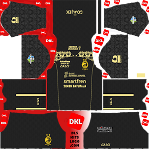 Detail Download Logo Sriwijaya Fc Dream League Soccer 2017 Nomer 20