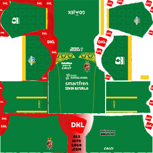 Detail Download Logo Sriwijaya Fc Dream League Soccer 2017 Nomer 28