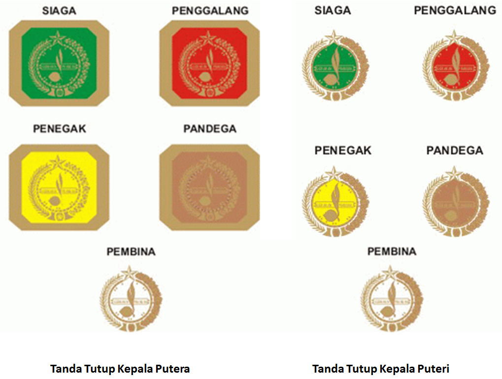 Detail Download Logo Tanda Pelantikan Pramuka Png Nomer 13