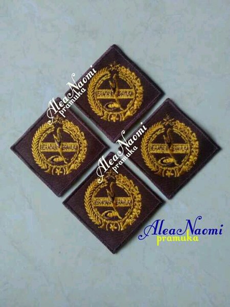 Detail Download Logo Tanda Pelantikan Pramuka Png Nomer 40