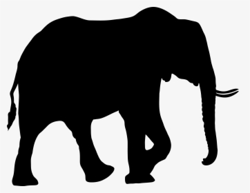 Detail Elephant Demon Nomer 24