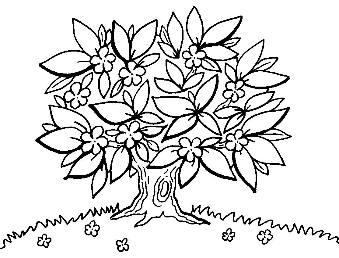 Detail Malvorlage Baum Des Lebens Nomer 13