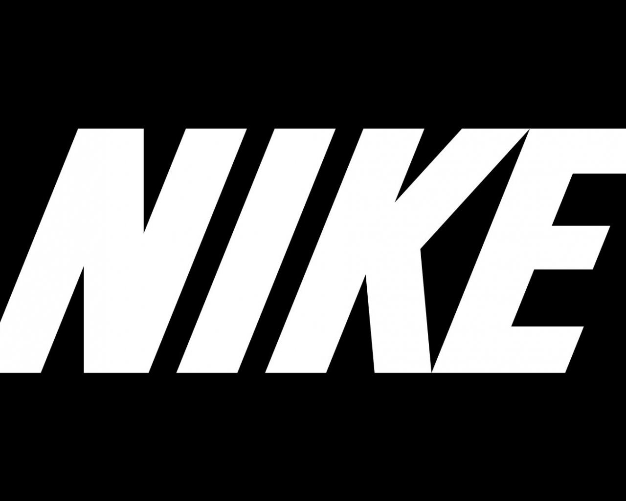 Detail Nike Sb Logo Nomer 23