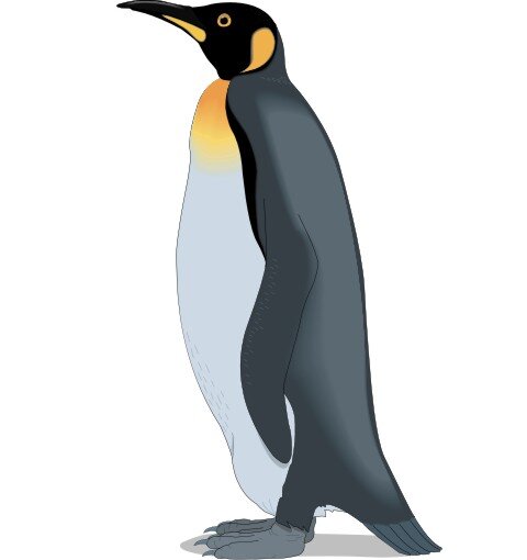 Detail Pinguin Klimaanlage Nomer 6