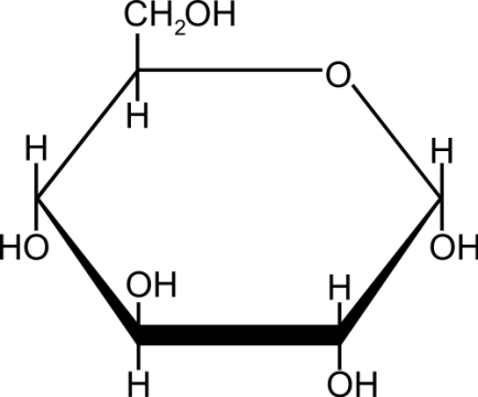 Detail Struktur Glucose Nomer 3