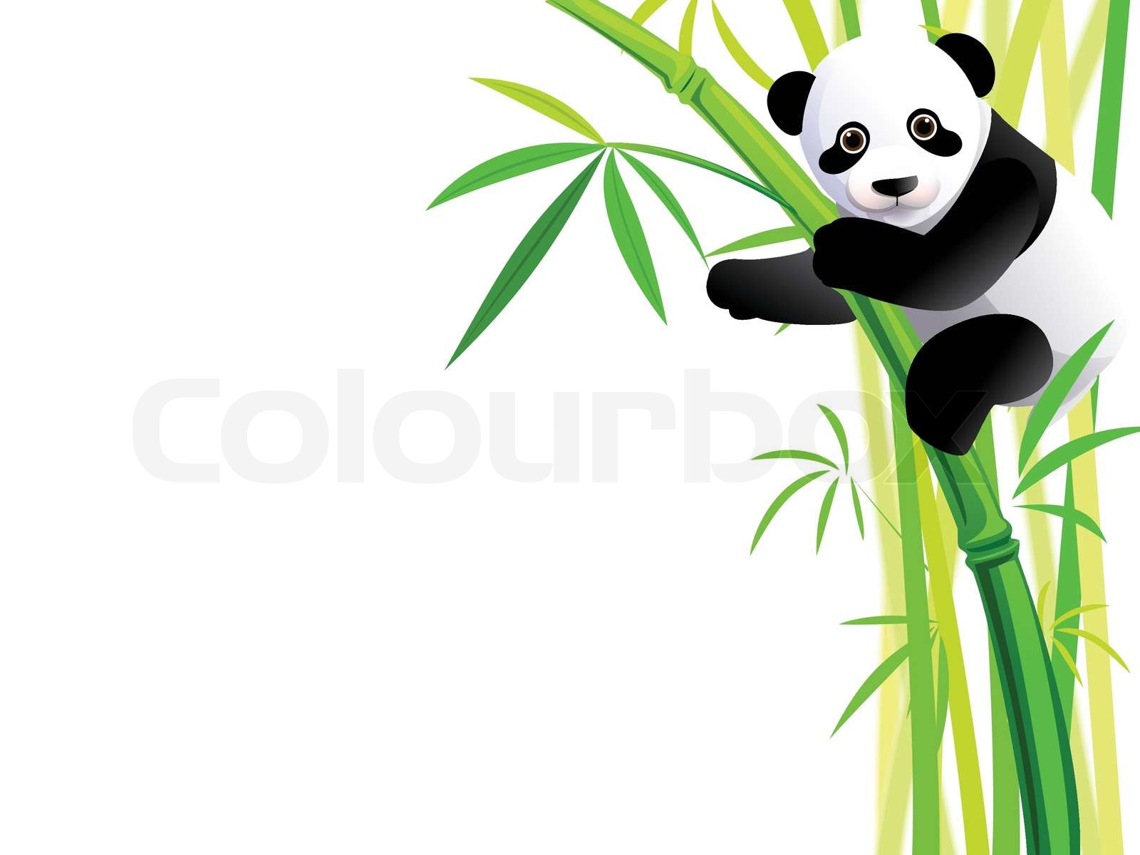 Detail Bambus Panda Nomer 22