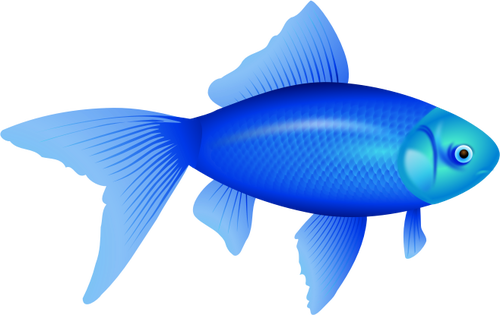 Detail Blaue Fische Aquarium Nomer 14