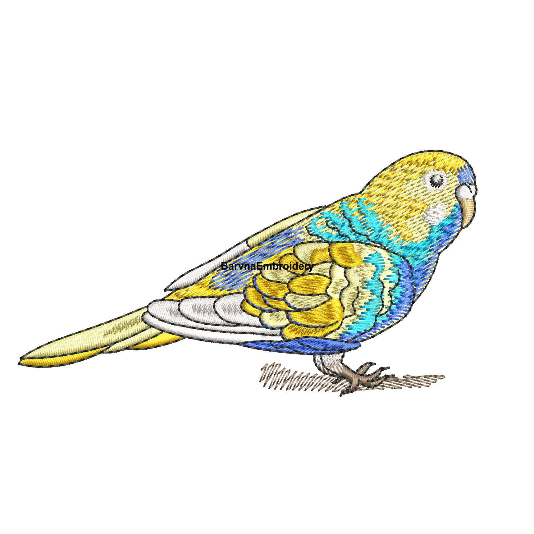 Detail Budgie Embroidery Design Nomer 6