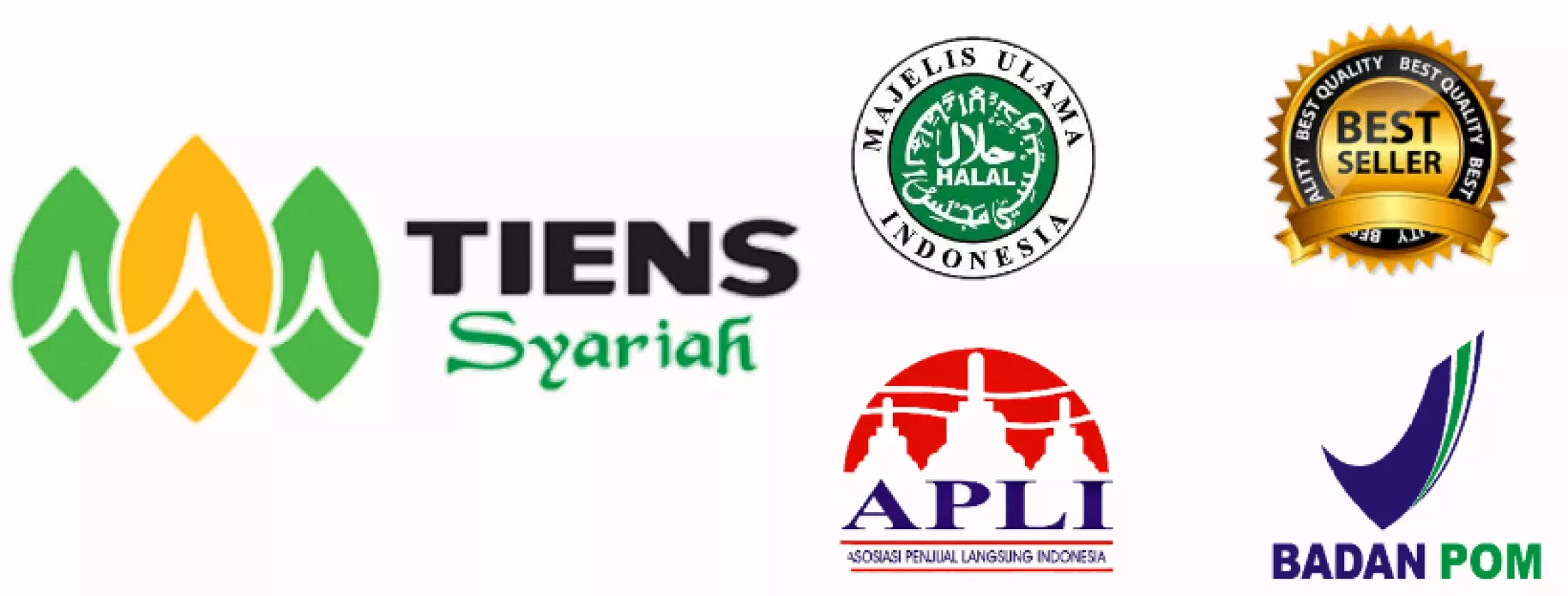 Detail Download Logo Tiens Syariah Nomer 31