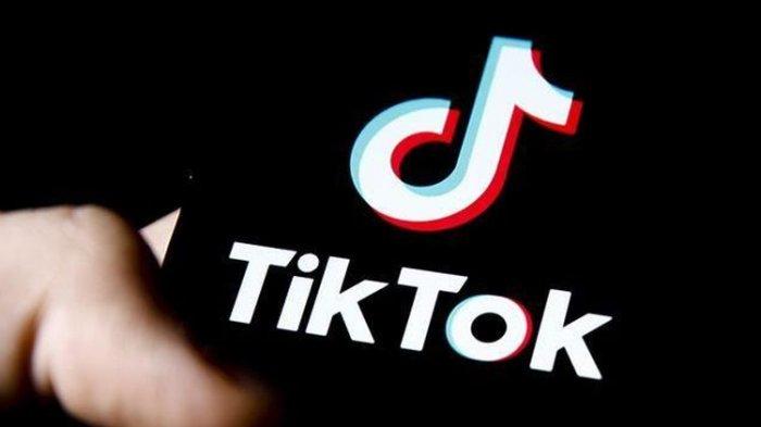 Detail Download Logo Tiktok Keren Nomer 44