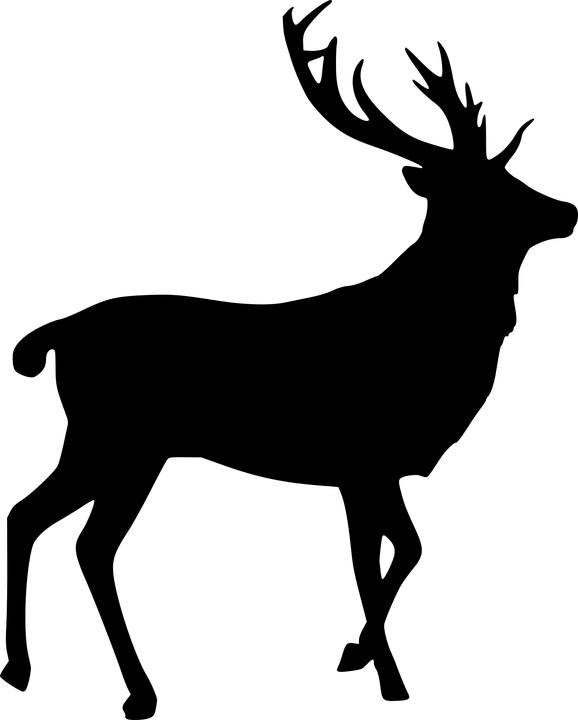 Detail Elchkopf Silhouette Nomer 16