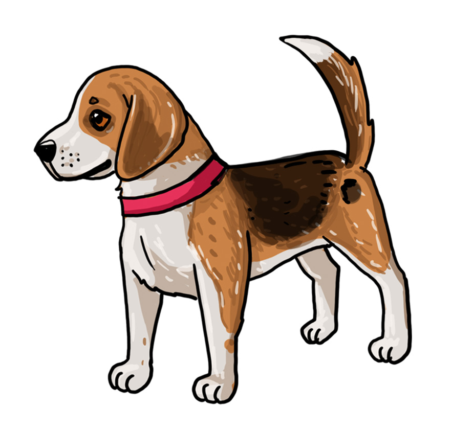 Detail Hundegesicht Zeichnen Nomer 7