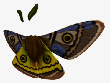 Moth Wings - KibrisPDR